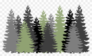 Forest Trees Evergreen Â - Clipart Forest