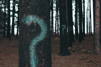 forest trees marked with question marks forest trees marked with question marks