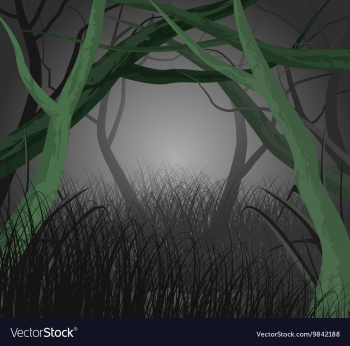 Forest vector image Forest vector image