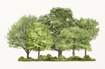 Forest watercolor illustration isolated on white | Free Photo - rawpixel Forest watercolor illustration isolated on white | Free Photo - rawpixel