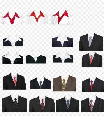 Formal wear Clothing Suit Shirt - Passport suit material 