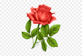 Format - Png - Rose Download Format - Png - Rose Download