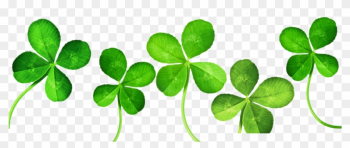 Four-leaf Clover Clip Art - 4 Leaf Clover Banner