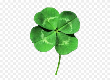 Four Leaf Clover - Four Leaf Clover Four Leaf Clover - Four Leaf Clover