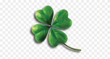 Four Leaf Clover Image - Thought