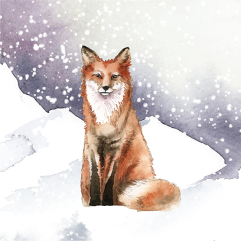 Fox Fox