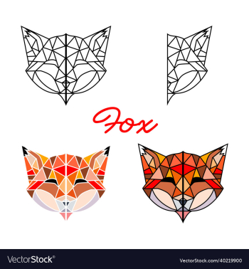 fox fox