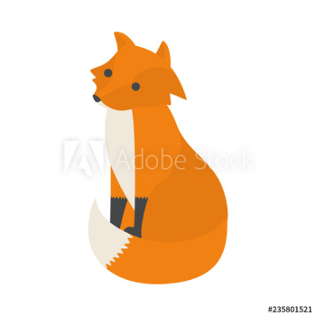 Fox animal with red fur Fox animal with red fur