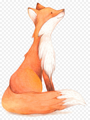 Fox Birthday Illustration - Cartoon fox Fox Birthday Illustration - Cartoon fox