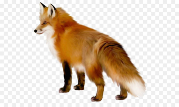 Fox Clip art - Transparent Fox Clipart Fox Clip art - Transparent Fox Clipart