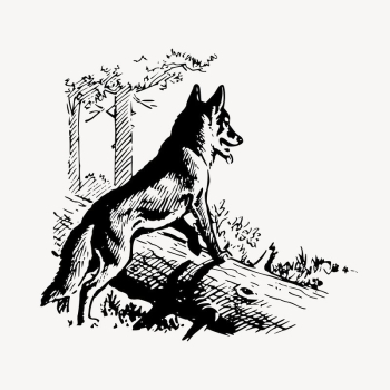Fox collage element, drawing illustration | Free Vector Illustration - rawpixel Fox collage element, drawing illustration | Free Vector Illustration - rawpixel