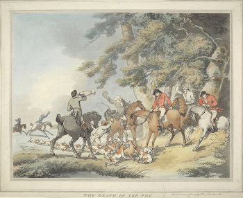 Fox-Hunting [set of six]:  | Free Photo - rawpixel