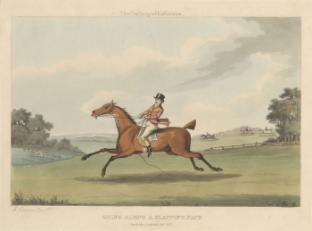 [Fox-hunting] set of six: The | Free Photo - rawpixel