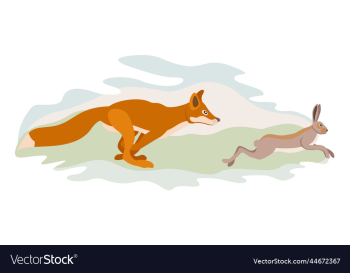 fox running after hare isolated fox running after hare isolated
