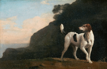 Foxhound (1760) painting in high resolution… | Free public domain illustration Foxhound (1760) painting in high resolution… | Free public domain illustration
