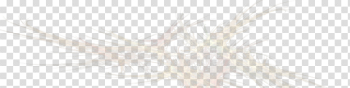 Fractal Png Image Fractal Png Image