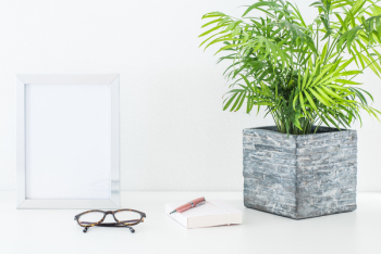 Frame and plant Frame and plant
