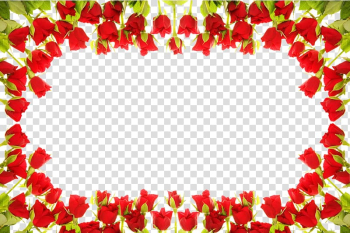 Frame , Circle flower transparent background PNG clipart