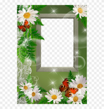 Frame Nice Frame Nice