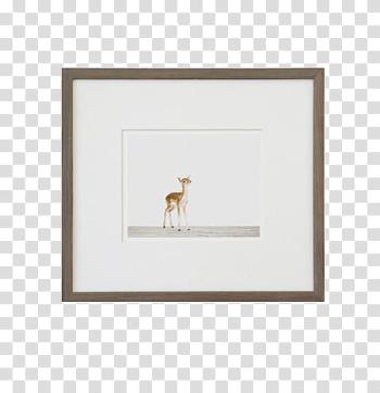 Frame , painting of deer cub transparent background PNG clipart Frame , painting of deer cub transparent background PNG clipart