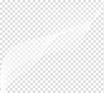 Frames Author , fond transparent background PNG clipart Frames Author , fond transparent background PNG clipart