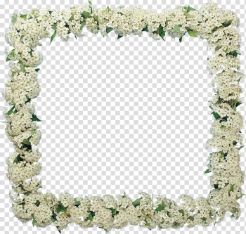 Frames Flower GIMP Garden roses, frangipani transparent background PNG clipart Frames Flower GIMP Garden roses, frangipani transparent background PNG clipart