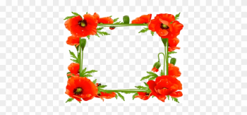 Frames For Flowers And Music - Poppy Frame