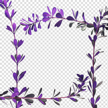 Frames Violet, floral frame transparent background PNG clipart