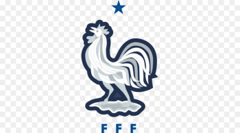 France national football team 2018 FIFA World Cup UEFA Euro 2016 2014 FIFA World Cup - Trance 