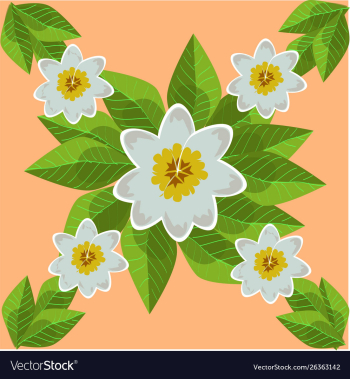 Frangipani flower seamless pattern vector image Frangipani flower seamless pattern vector image