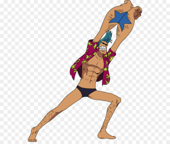 Franky Nami Monkey D. Luffy Usopp Bentham - one piece Franky Nami Monkey D. Luffy Usopp Bentham - one piece