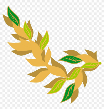 Free Bay Leaf - Bay Leaf Free Bay Leaf - Bay Leaf