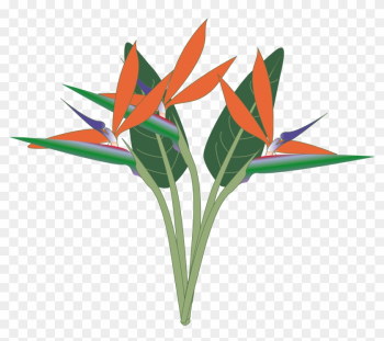 Free Bird Of Paradise Flower Clip Art - Bird Of Paradise Clipart
