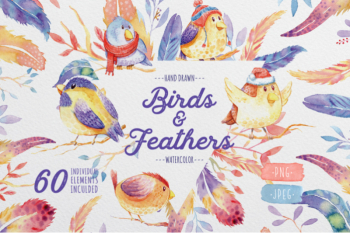 FREE Birds & Feathers Watercolor