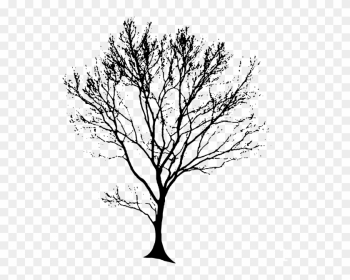 Free Clipart Line Drawing Live Oak Tree - Tree Black Drawing Free Clipart Line Drawing Live Oak Tree - Tree Black Drawing
