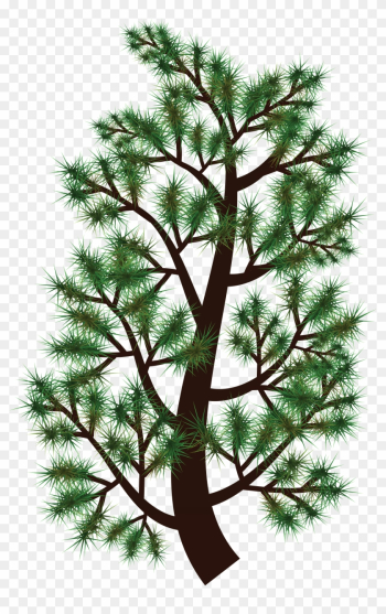 Free Clipart Of A Pine Tree Branch - Free Clipart Of A Pine Tree Branch Free Clipart Of A Pine Tree Branch - Free Clipart Of A Pine Tree Branch