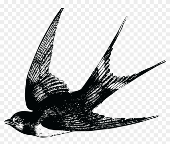 Free Clipart Of A Swallow - Swallow Tattoo Vintage Free Clipart Of A Swallow - Swallow Tattoo Vintage