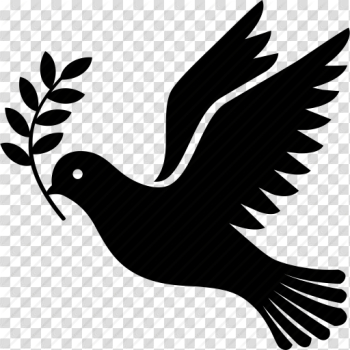 Free Dove Icon Png 13998 | Download Dove Icon Png - 13998