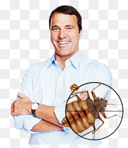 Free download Bed bug bite Punaise des lits Bedbug - bed png.
