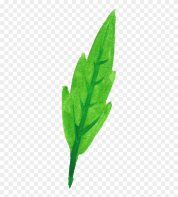 Free Download - Common Sage Free Download - Common Sage