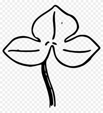 Free Download - Drawing Free Download - Drawing