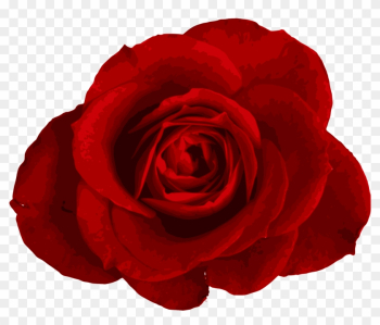 Free Download - Rose Free Download - Rose