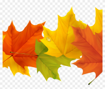 Free Fall Leaf Clip Art 19 Free Graphic Free Fall Leaves - Fall Leaves Border Transparent