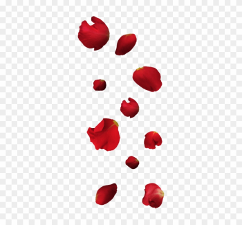 Free Falling Petals Png - Rose