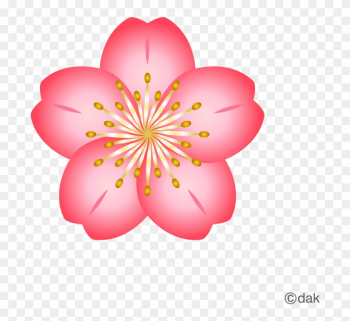 Free Flower Material Cherry Pictures Of Clipart And - Cherry Blossom Flower Icon