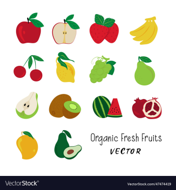 free hand drawn fresh organic fruits