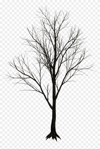 Free Illustrations On Pixabay - Dry Tree Png