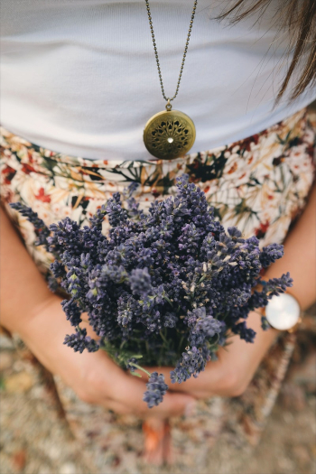 Free lavender image, public domain | Free Photo - rawpixel