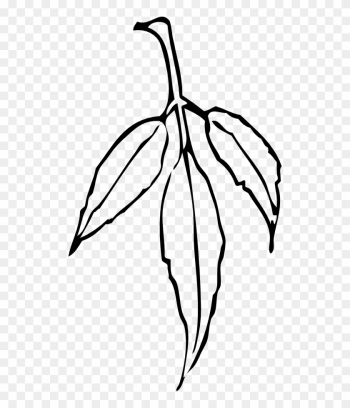 Free Leaf - Gum Leaf Black And White