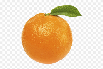 Free Orange Fruit Png - Orange With No Background Free Orange Fruit Png - Orange With No Background